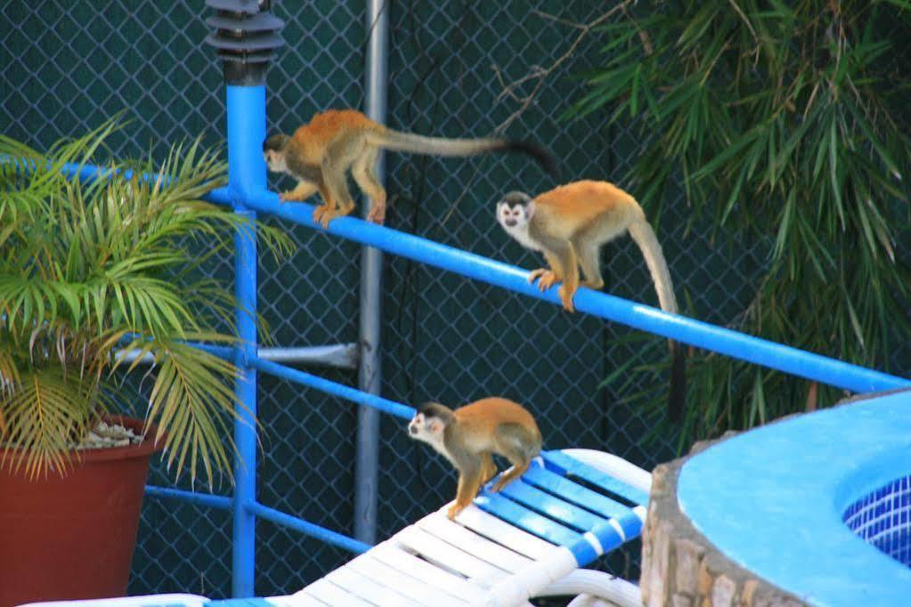 Condominio Villas El Parque Nationalpark Nationalpark Manuel Antonio Exterior foto